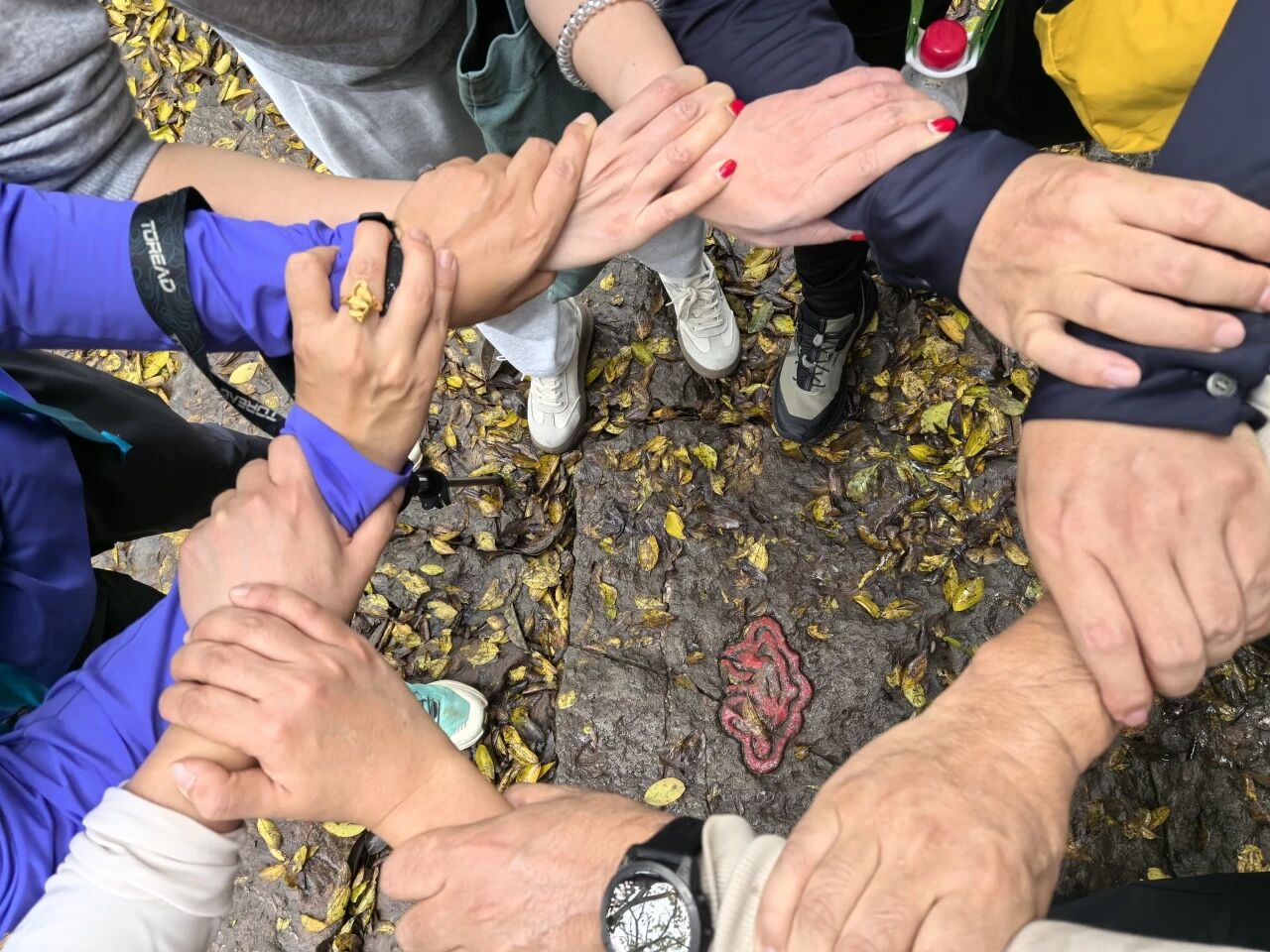 1763098905164653.jpg 180925d14da26529461788fc3a89cd4f.jpg