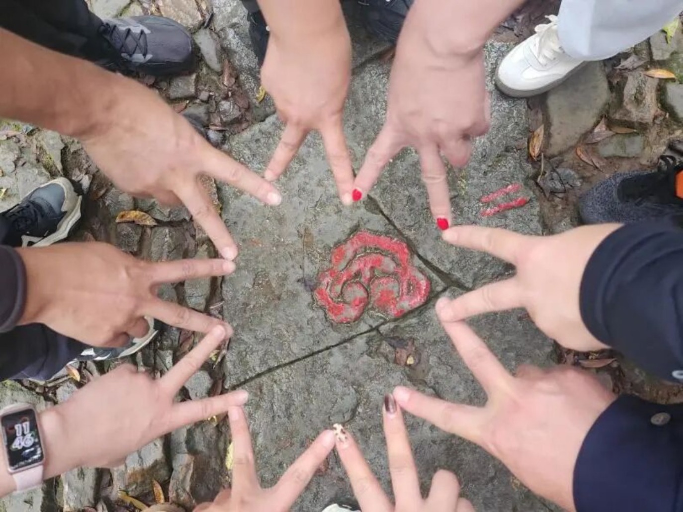 1763099232912334.jpg IMG_202511141211_1374x1030.jpg