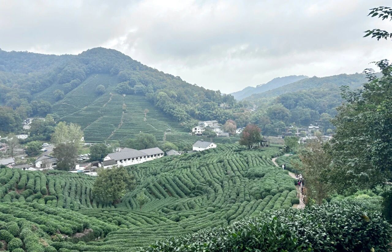 1763099268972106.jpg bc39f72724da5e7039e01afe2fa10ce0.jpg