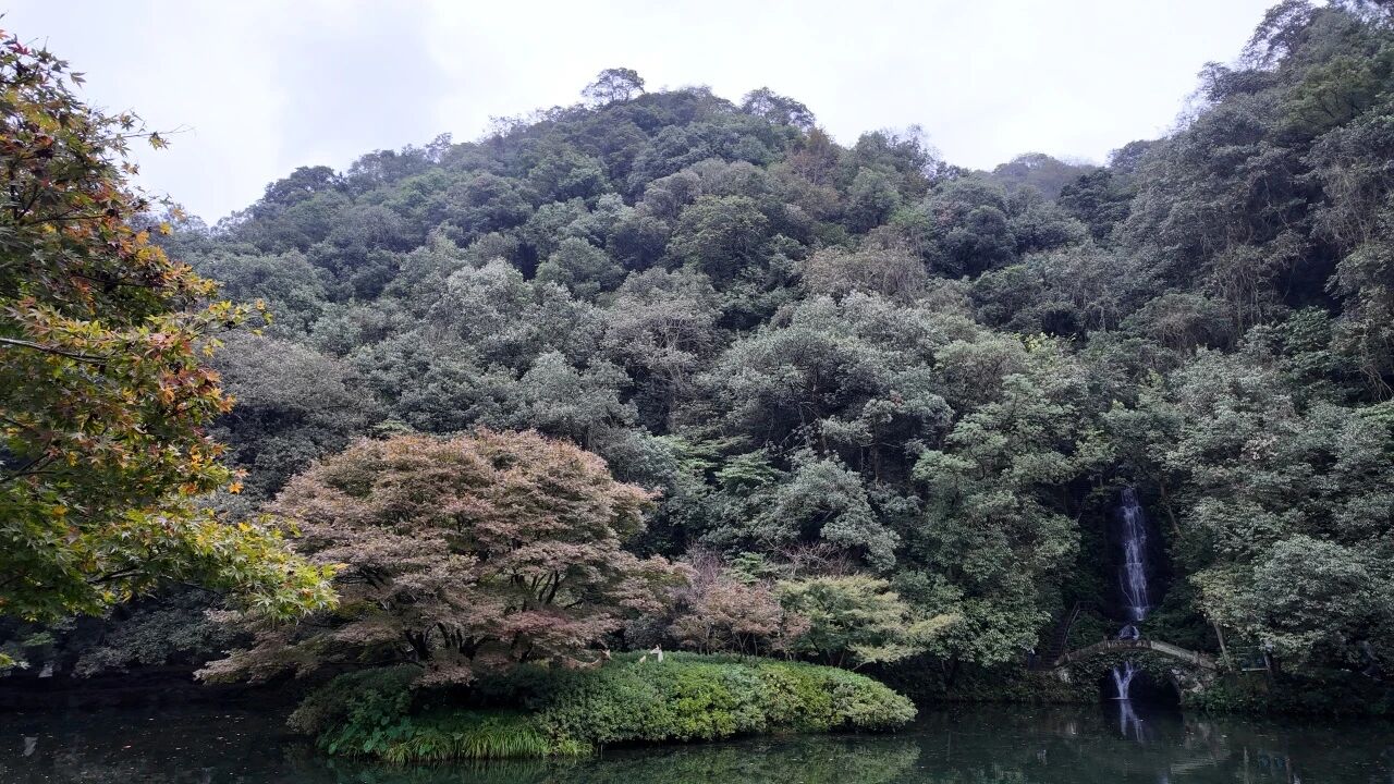 1763099582623196.jpg b5e7c421e69bc3f928eb8042dfb95542.jpg